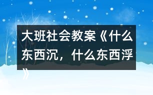 大班社會教案《什么東西沉，什么東西浮》反思