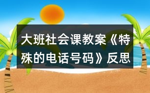 大班社會課教案《特殊的電話號碼》反思