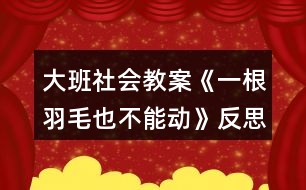 大班社會(huì)教案《一根羽毛也不能動(dòng)》反思