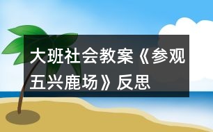 大班社會教案《參觀五興鹿場》反思