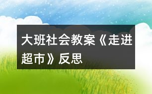 大班社會教案《走進超市》反思