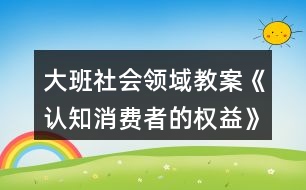 大班社會(huì)領(lǐng)域教案《認(rèn)知消費(fèi)者的權(quán)益》反思