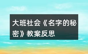 大班社會(huì)《名字的秘密》教案反思