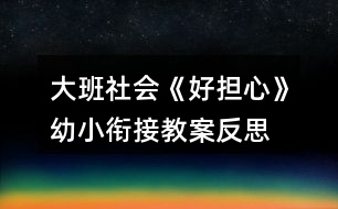 大班社會《好擔心》幼小銜接教案反思