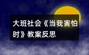 大班社會《當(dāng)我害怕時(shí)》教案反思