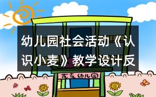 幼兒園社會(huì)活動(dòng)《認(rèn)識(shí)小麥》教學(xué)設(shè)計(jì)反思