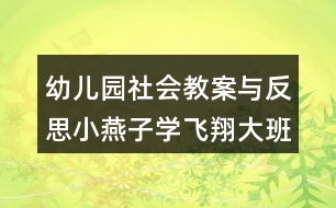 幼兒園社會教案與反思小燕子學(xué)飛翔（大班）