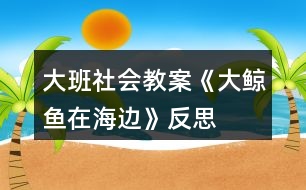 大班社會教案《大鯨魚在海邊》反思