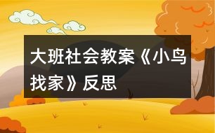 大班社會教案《小鳥找家》反思