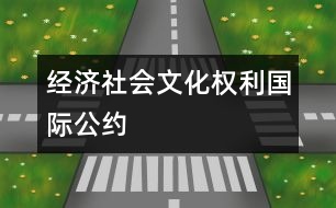 經(jīng)濟、社會、文化權(quán)利國際公約