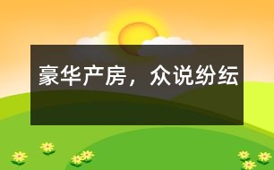 豪華產(chǎn)房，眾說紛紜