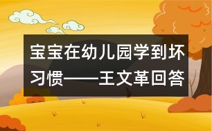 寶寶在幼兒園學(xué)到壞習(xí)慣――王文革回答