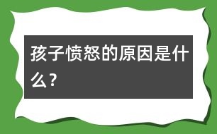 孩子憤怒的原因是什么？