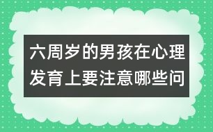 六周歲的男孩在心理發(fā)育上要注意哪些問(wèn)題――陸為之回