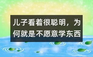 兒子看著很聰明，為何就是不愿意學(xué)東西