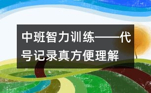 中班智力訓練――代號記錄真方便（理解、創(chuàng)造、注意、記憶、語言）