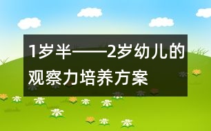 1歲半――2歲幼兒的觀察力培養(yǎng)方案