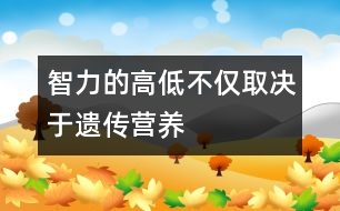 智力的高低不僅取決于遺傳、營養(yǎng)