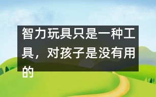 智力玩具只是一種工具，對孩子是沒有用的――王文革回答