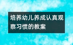 培養(yǎng)幼兒養(yǎng)成認真觀察習慣的教案