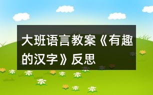 大班語(yǔ)言教案《有趣的漢字》反思