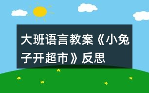 大班語言教案《小兔子開超市》反思