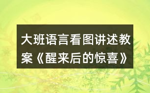 大班語(yǔ)言看圖講述教案《醒來(lái)后的驚喜》反思