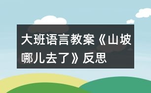 大班語(yǔ)言教案《山坡哪兒去了》反思