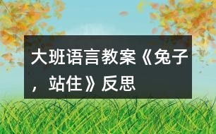 大班語言教案《兔子，站住》反思