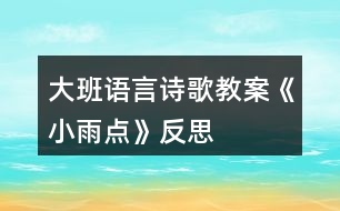 大班語言詩歌教案《小雨點》反思