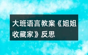 大班語(yǔ)言教案《姐姐收藏家》反思