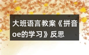 大班語言教案《拼音o、e的學習》反思