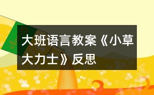 大班語(yǔ)言教案《小草大力士》反思