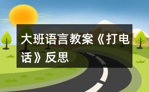 大班語(yǔ)言教案《打電話》反思