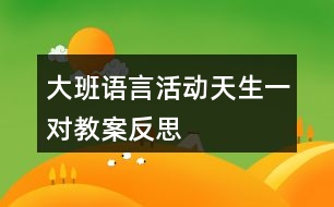 大班語言活動(dòng)天生一對(duì)教案反思