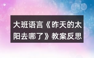 大班語(yǔ)言《昨天的太陽(yáng)去哪了》教案反思