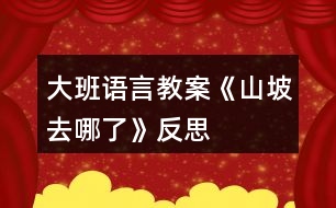 大班語(yǔ)言教案《山坡去哪了》反思