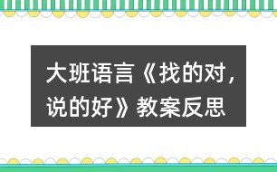 大班語言《找的對，說的好》教案反思