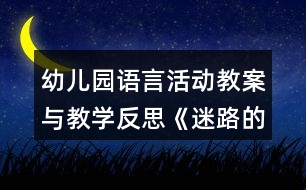 幼兒園語言活動教案與教學反思《迷路的小鴨子》