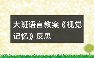 大班語言教案《視覺記憶》反思