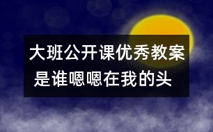 大班公開(kāi)課優(yōu)秀教案 是誰(shuí)嗯嗯在我的頭上