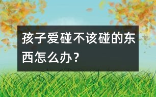 孩子愛碰不該碰的東西怎么辦？