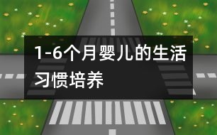 1-6個(gè)月嬰兒的生活習(xí)慣培養(yǎng)