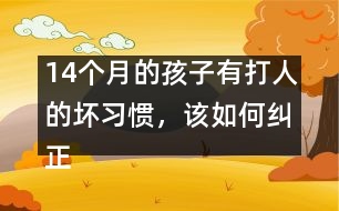 14個月的孩子有打人的壞習(xí)慣，該如何糾正