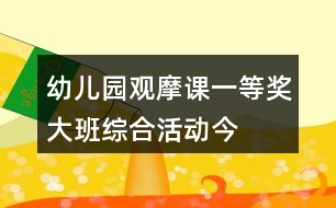 幼兒園觀摩課一等獎(jiǎng)大班綜合活動(dòng)——今天我下廚教學(xué)設(shè)計(jì)、說課稿及專家點(diǎn)評(píng)