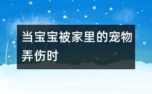 當(dāng)寶寶被家里的寵物弄傷時