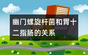 幽門螺旋桿菌和胃、十二指腸的關(guān)系