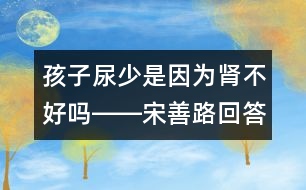 孩子尿少是因?yàn)槟I不好嗎――宋善路回答