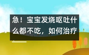 急！寶寶發(fā)燒嘔吐什么都不吃，如何治療――康宏回答