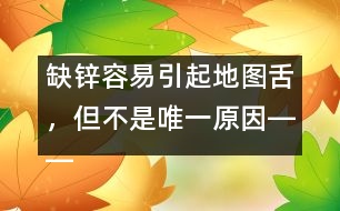 缺鋅容易引起地圖舌，但不是唯一原因――洪昭毅回答